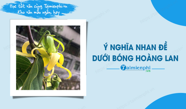 Dưới bóng hoàng lan Gallery 1