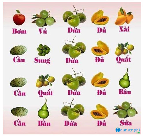 Trái cây là số mấy? Gallery 1