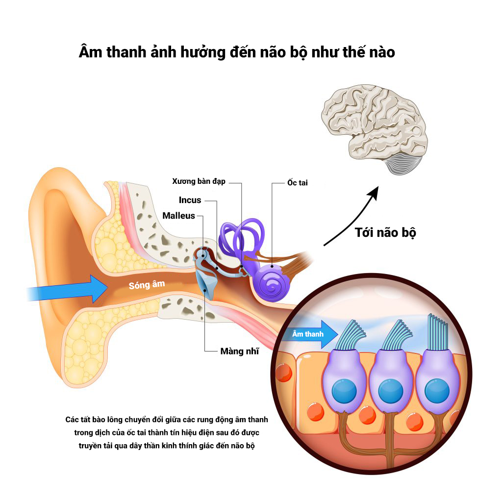 Thanh Âm Sóng Vỗ: Bí Ẩn Và Vẻ Đẹp Của Âm Thanh Đại Dương Gallery 2