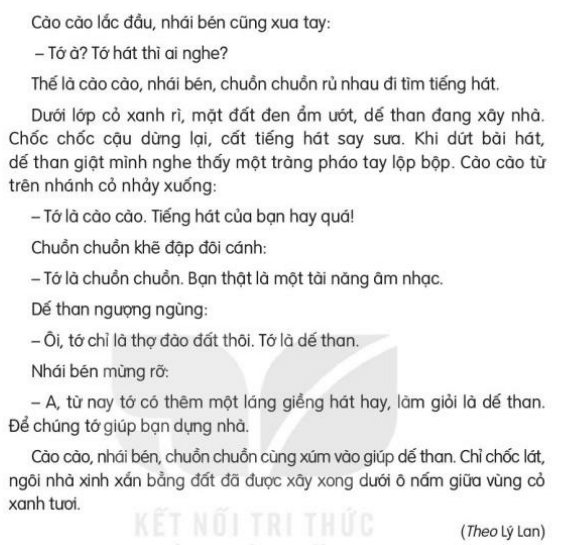 29 Ngôi Nhà Trong Cỏ Gallery 2