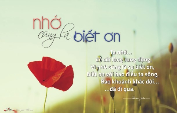 Tục Ngữ Về Sự Vô ơn: Những Câu Nói Hay Nhất Gallery 2