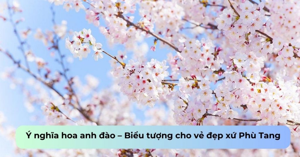 Tiểu Thơ Anh Đào Gallery 2