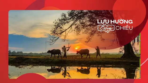 Lọt thỏm là gì? Gallery 1