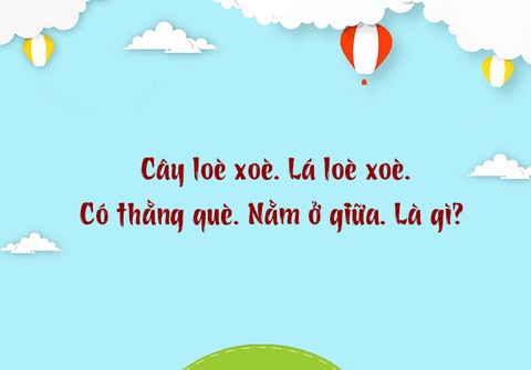 Vắt vẻo là gì? Gallery 1