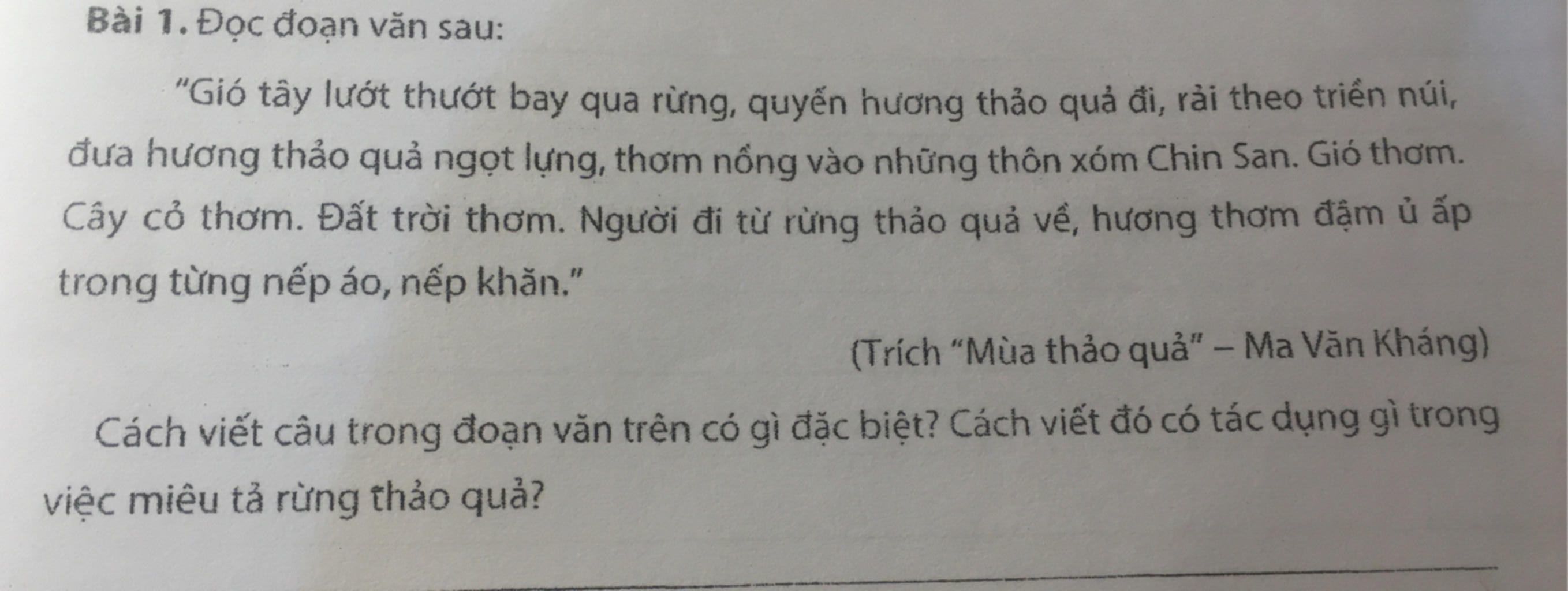 Lướt Thướt Là Gì? Gallery 1
