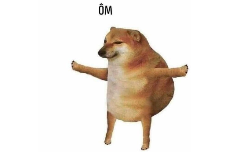 Meme Chảnh Chó: Nguồn Gốc, Ý Nghĩa và Cách Sử Dụng Gallery 2