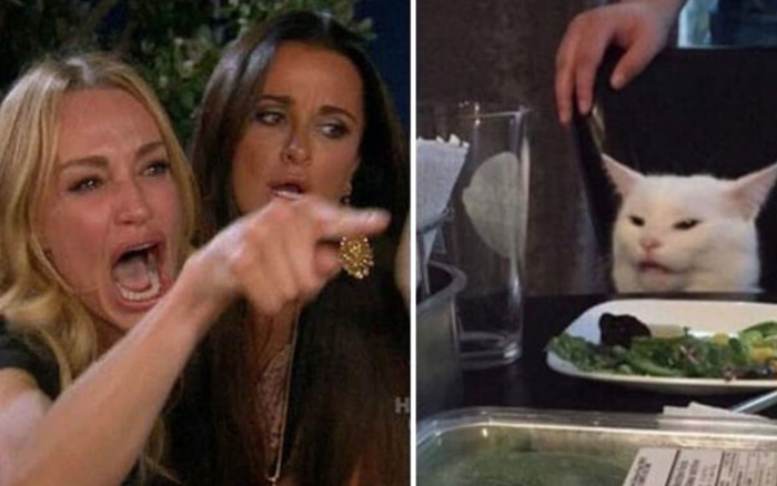 Meme Con Mèo Trắng: Nguồn Gốc, Ý Nghĩa Và Những Biến Tấu Hài Hước Gallery 2
