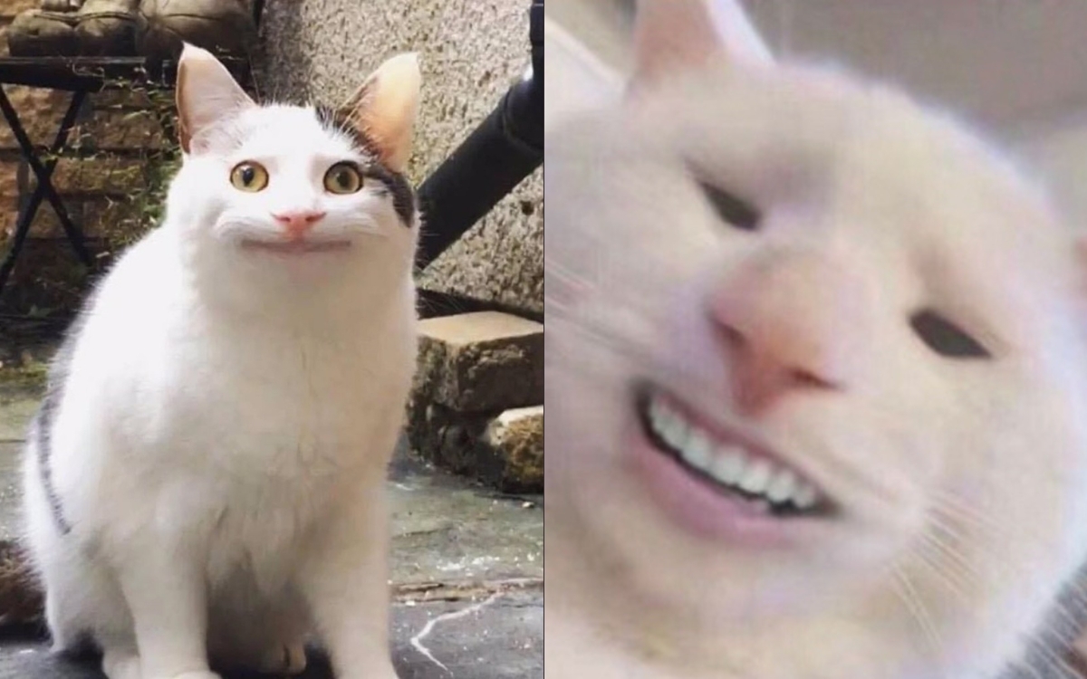 Meme Cười Mỉm: Nguồn Gốc, Ý Nghĩa Và Những Biến Tấu Hài Hước Gallery 2