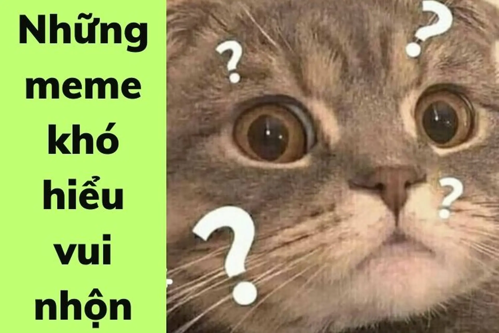 Meme Mặt Khó Hiểu Là Gì? Nguồn Gốc Và Ý Nghĩa Gallery 2