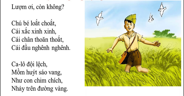 Loắt Choắt Là Gì? Gallery 1