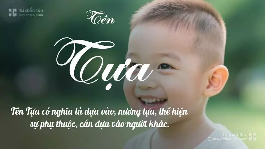 Tựa Hồ Là Gì? Gallery 1