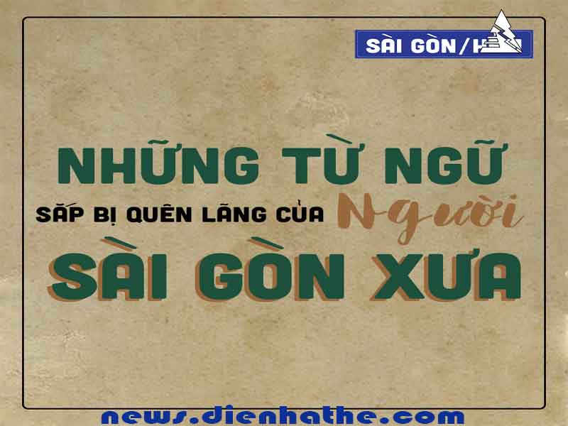 Xẹ là gì? Định nghĩa, ý nghĩa và cách sử dụng từ "xẹ" Gallery 1