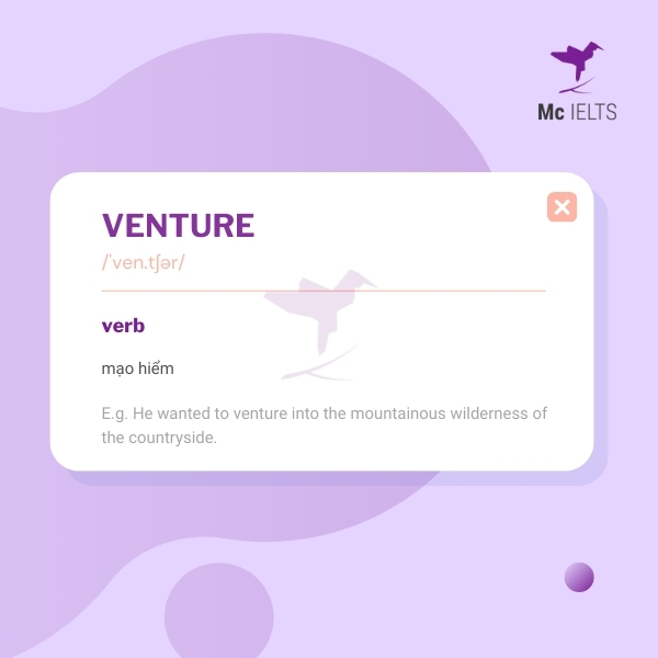 Venture Into Là Gì? Gallery 1