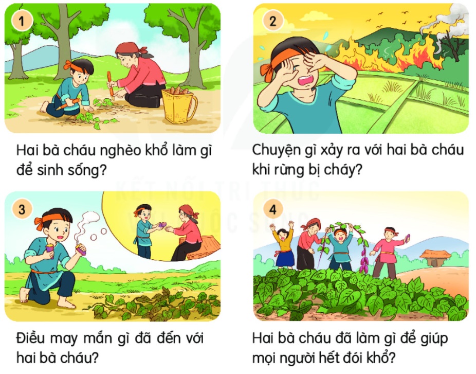 Sự tích cây khoai lang Gallery 2