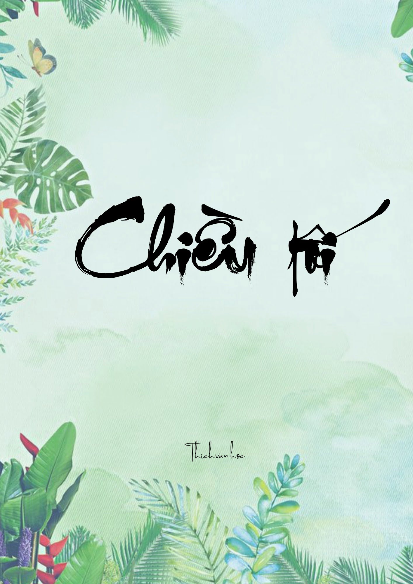 Chiều Tối Gallery 2
