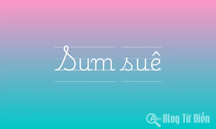 Sum Suê Là Gì? Gallery 1
