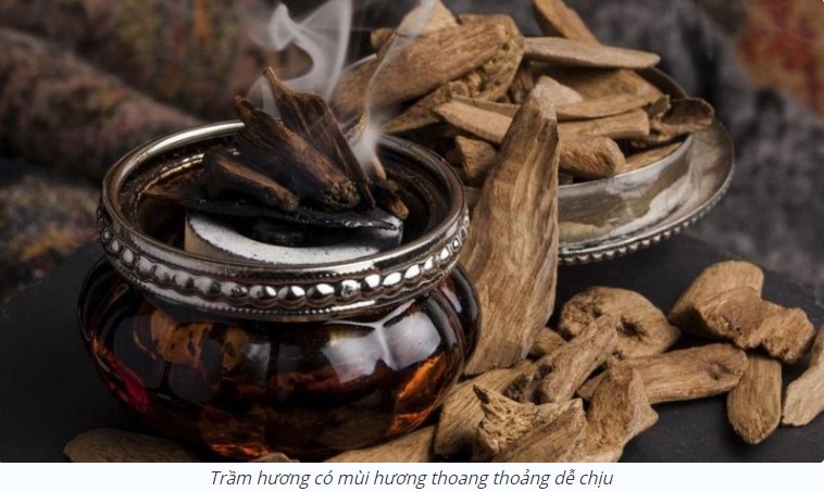 Thơm Thoang Thoảng Có Nghĩa Là Gì? Gallery 1