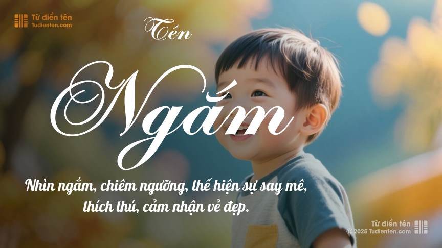 Ngắm nghía là gì? Gallery 1