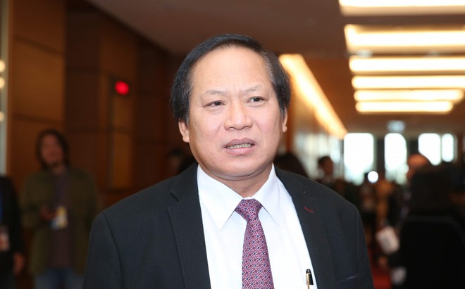 Tinh Tường Là Gì? Gallery 1