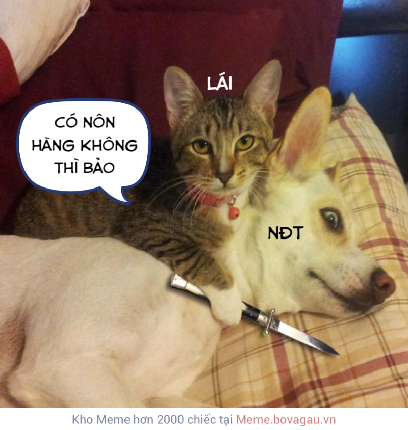 Chó Cầm Dao: Hình Ảnh, Ý Nghĩa và Sự Thật Gallery 1