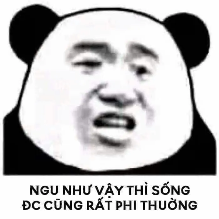 Meme Gấu Trúc Bựa Weibo: Nguồn Gốc, Ý Nghĩa và Sự Phổ Biến Gallery 2