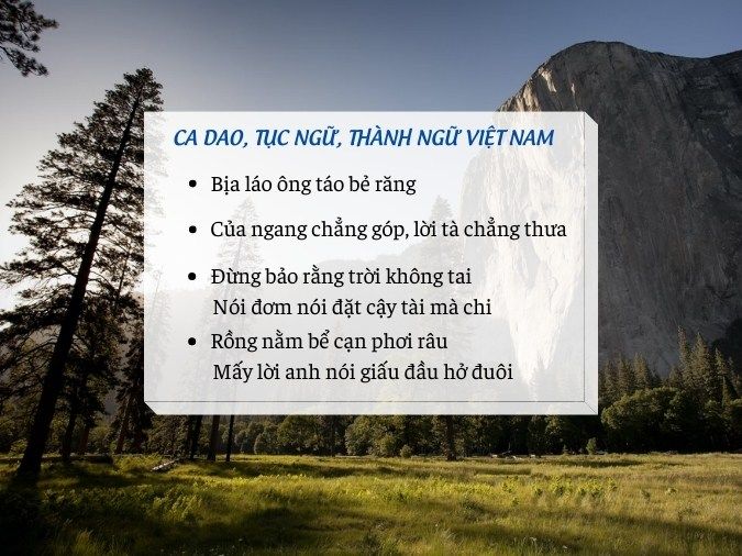 Đơm Đặt Là Gì? Gallery 1