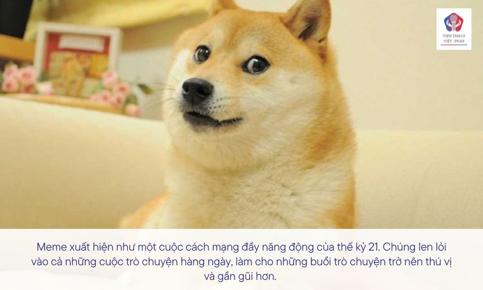 Meme Cam là gì? Nguồn gốc và ý nghĩa của trào lưu hài hước này Gallery 2