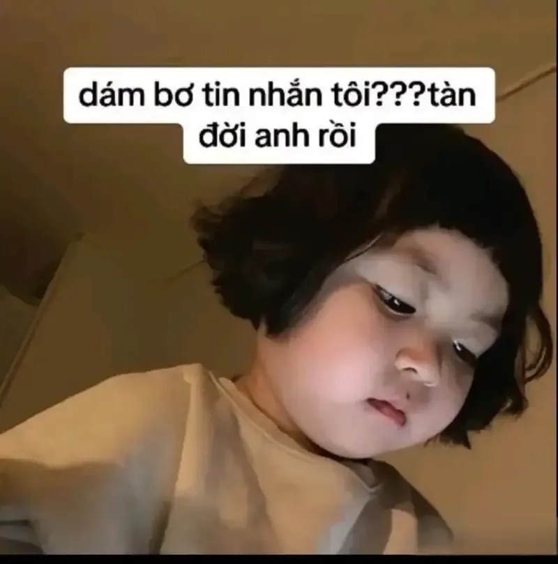 Meme Bé: Nguồn Gốc, Ý Nghĩa Và Sự Phổ Biến Gallery 2