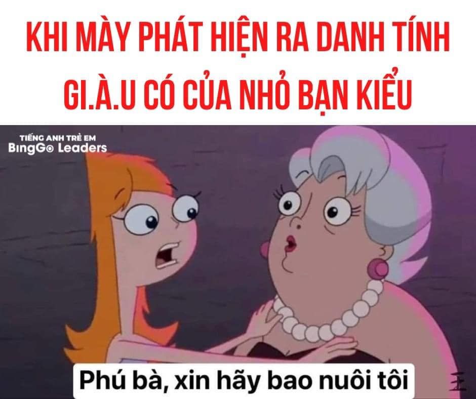 Phú Bà Hãy Bao Nuôi Tôi Meme Gallery 2