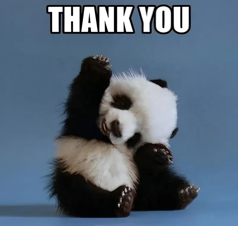 Thank Meme: Nguồn Gốc, Ý Nghĩa Và Sự Phổ Biến Gallery 2