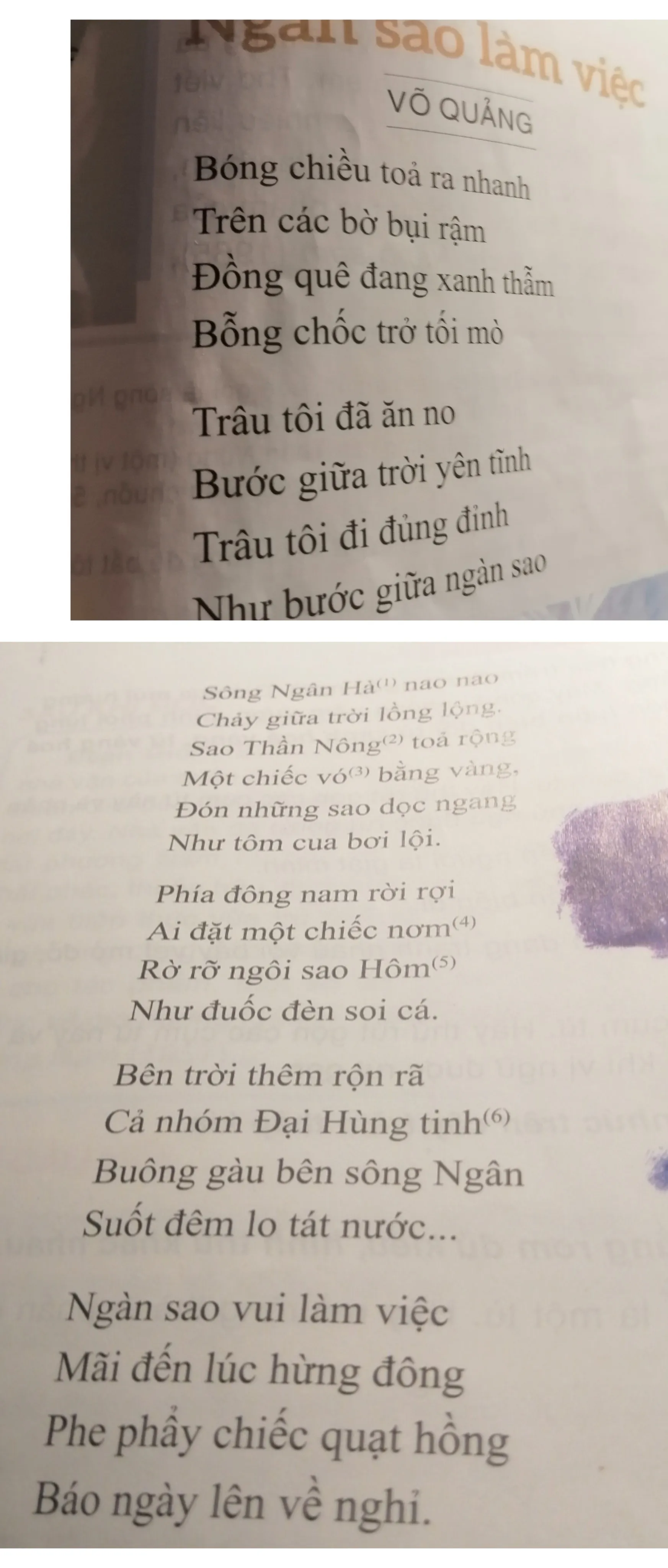 Tóm tắt Bài Ngàn Sao Làm Việc Gallery 2