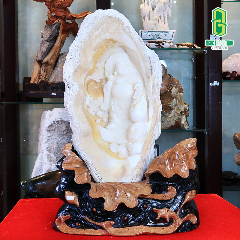 Vỏ Sò Tai Tượng: Nguồn Gốc, Ý Nghĩa Và Cách Sử Dụng Gallery 2