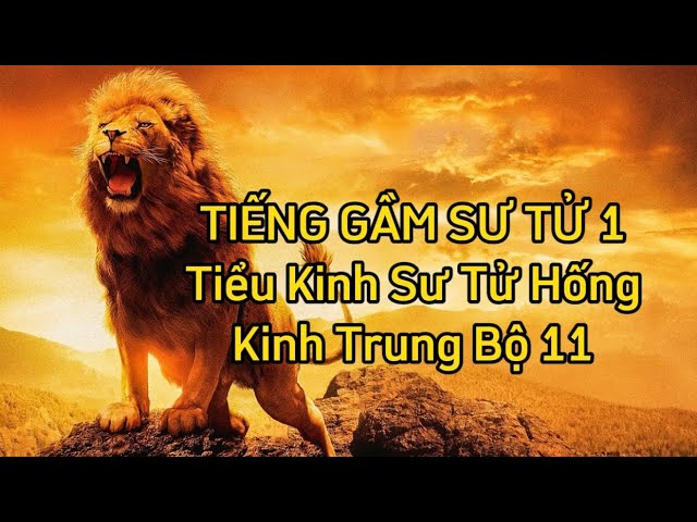Sư Tử Hống Là Gì? Gallery 2