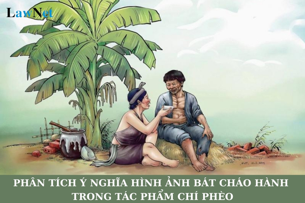 Ý nghĩa của bát cháo hành Gallery 1