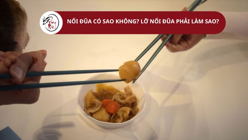 Nối đũa thì sao? Gallery 1