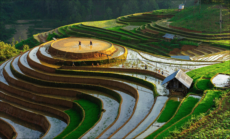 Ý nghĩa của ruộng bậc thang Gallery 1