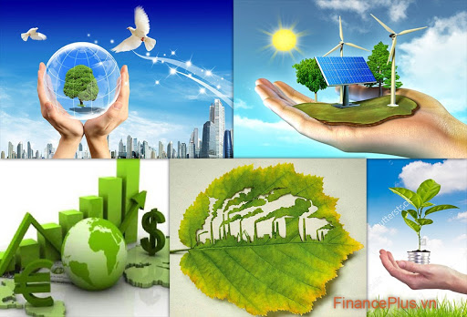 Ý Thức Bảo Vệ Môi Trường: Hành Động Ngay Hôm Nay Để Có Tương Lai Xanh