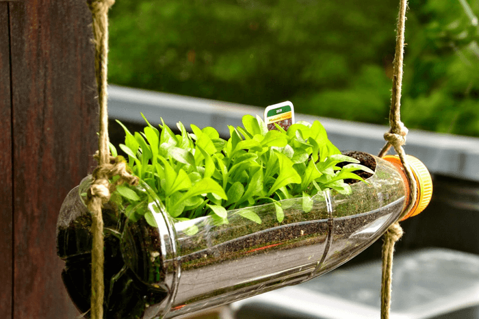 Ý tưởng sáng tạo bảo vệ môi trường