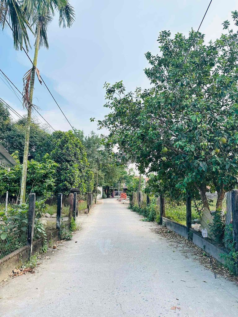 Yến Nê 1 Hòa Tiến