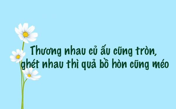 Yêu nhau củ ấu cũng tròn