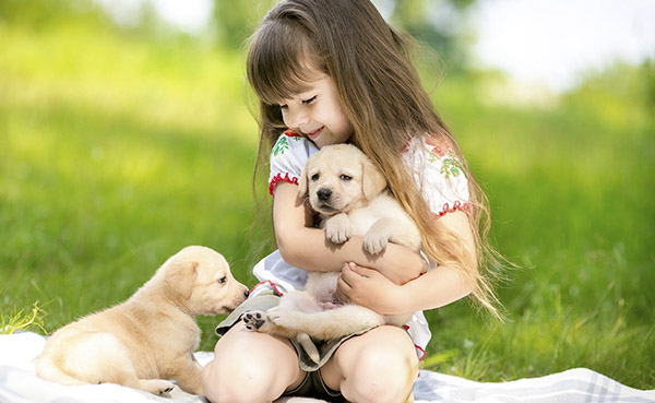 Yêu Thương Động Vật: Hành Động Thiết Thực Vì Một Thế Giới Tốt Đẹp Hơn