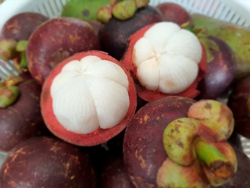 Măng cụt ở đâu ngon nhất? Gallery 2