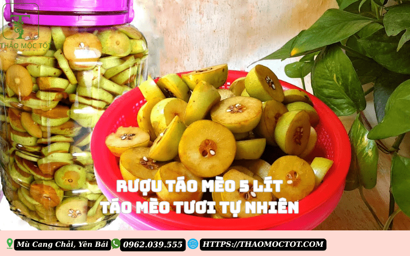 Giá Táo Mèo Tươi Mới Nhất Gallery 1