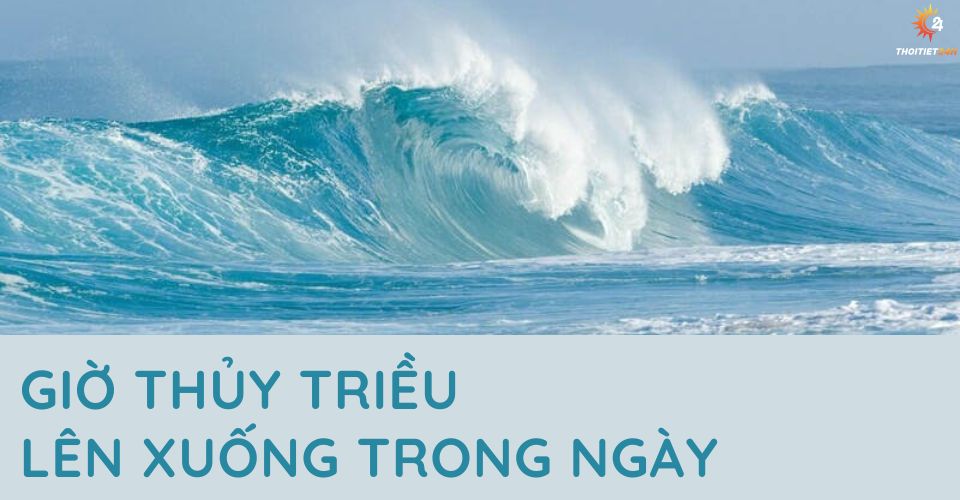 Giờ Thủy Triều Lên Gallery 1