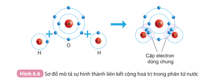 Liên kết trong phân tử là gì? Gallery 2