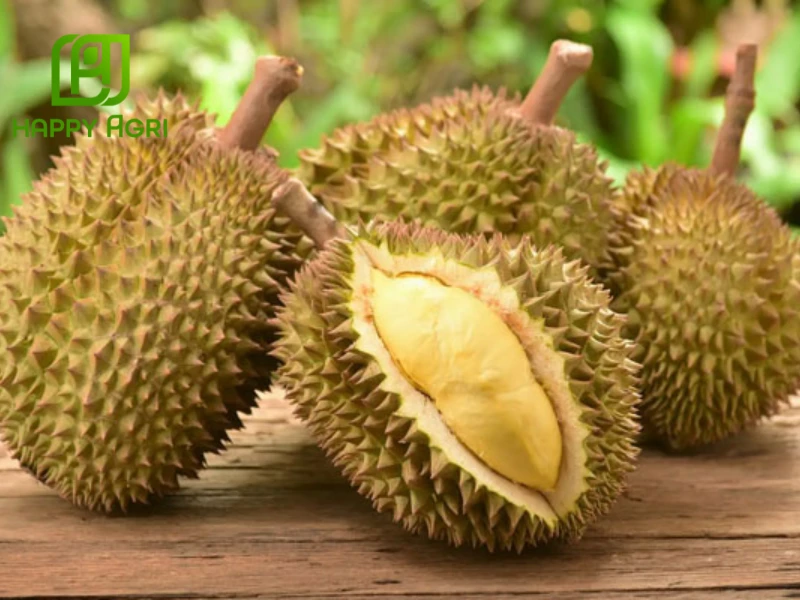 Sầu Riêng Tháng Mấy Có? Gallery 2