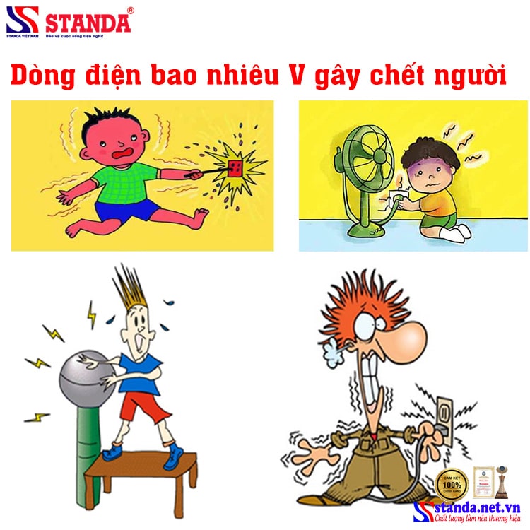 Tại sao đánh vào gáy lại chết? Gallery 2