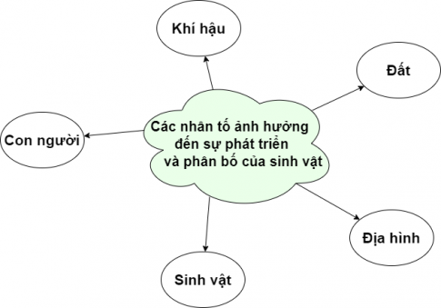 Sơ đồ sự phát triển từ vựng Gallery 2