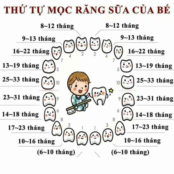 Bao Nhiêu Tuổi Hết Mọc Răng? Gallery 2