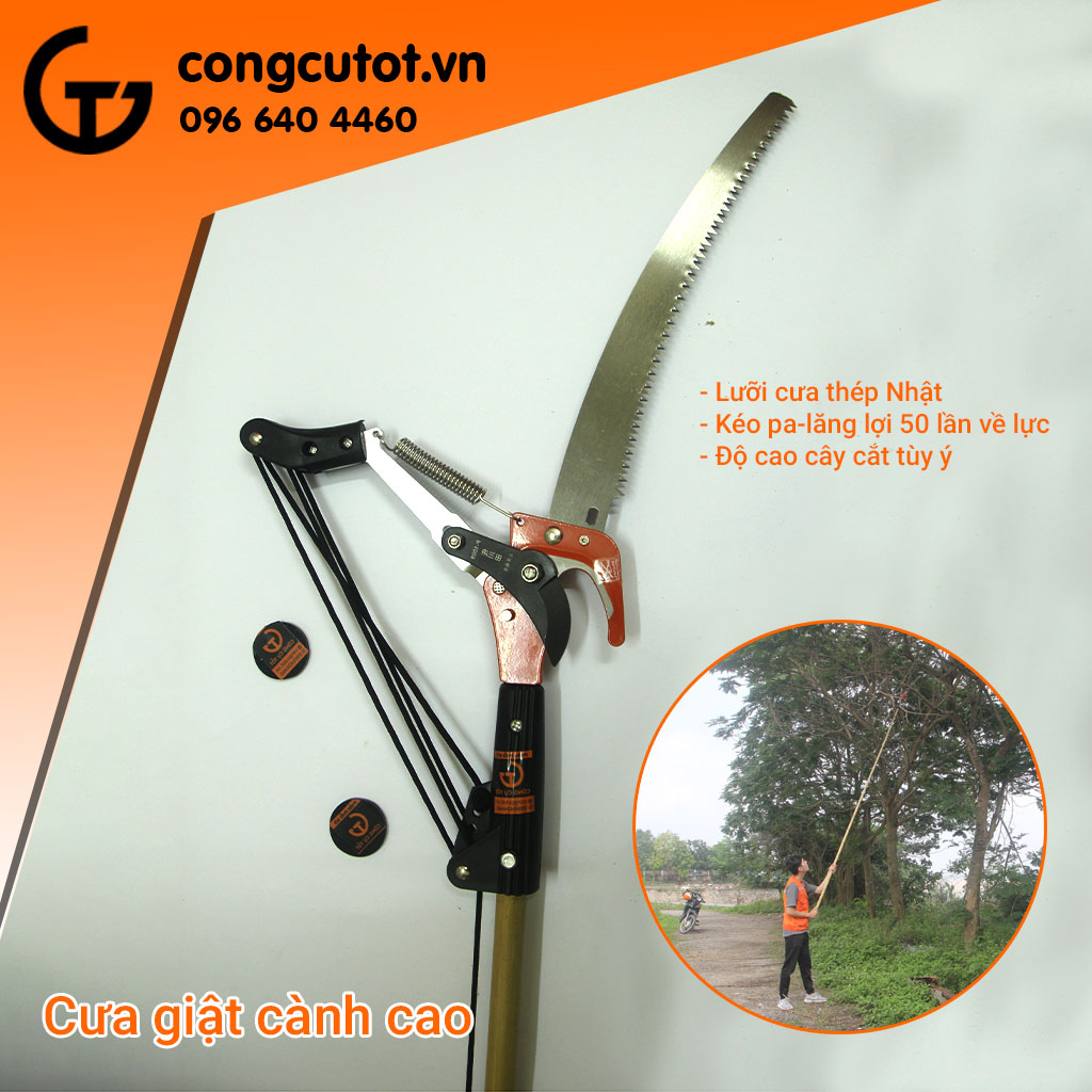 Cưa Cắt Cành Trên Cao: An Toàn và Hiệu Quả Gallery 2